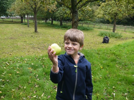 Ein Schüler schaut sich einen Apfel an.