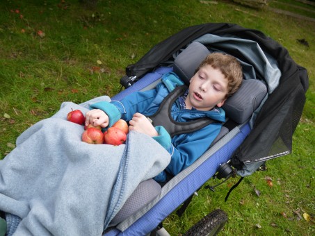 Ein Schüler im Rollstuhl transportiert Äpfel.