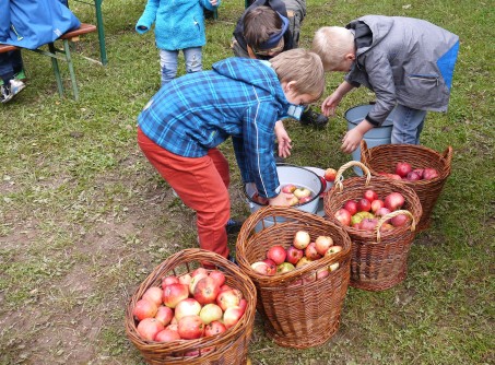 Die Äpfel werden gewaschen.